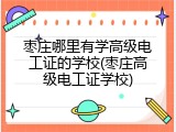枣庄哪里有学高级电工证的学校(枣庄高级电工证学校)