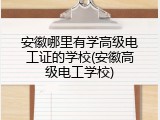 安徽哪里有学高级电工证的学校(安徽高级电工学校)
