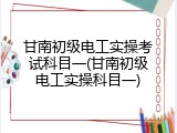 甘南初级电工实操考试科目一(甘南初级电工实操科目一)