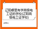 辽阳哪里有学高级电工证的学校(辽阳高级电工证学校)