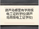 葫芦岛哪里有学高级电工证的学校(葫芦岛高级电工证学校)