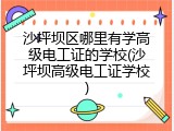 沙坪坝区哪里有学高级电工证的学校(沙坪坝高级电工证学校)