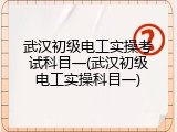 武汉初级电工实操考试科目一(武汉初级电工实操科目一)
