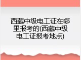 西藏中级电工证在哪里报考的(西藏中级电工证报考地点)