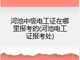 河池中级电工证在哪里报考的(河池电工证报考处)