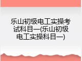 乐山初级电工实操考试科目一(乐山初级电工实操科目一)