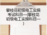 攀枝花初级电工实操考试科目一(攀枝花初级电工实操科目一)