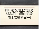 眉山初级电工实操考试科目一(眉山初级电工实操科目一)