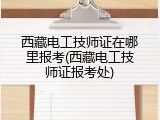 西藏电工技师证在哪里报考(西藏电工技师证报考处)