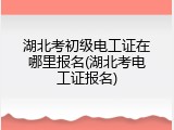 湖北考初级电工证在哪里报名(湖北考电工证报名)