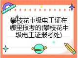 攀枝花中级电工证在哪里报考的(攀枝花中级电工证报考处)