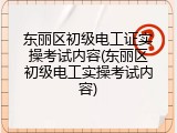 东丽区初级电工证实操考试内容(东丽区初级电工实操考试内容)