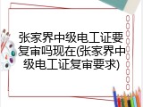 张家界中级电工证要复审吗现在(张家界中级电工证复审要求)