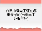 自贡中级电工证在哪里报考的(自贡电工证报考处)