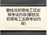 攀枝花初级电工证实操考试内容(攀枝花初级电工实操考试内容)