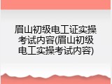 眉山初级电工证实操考试内容(眉山初级电工实操考试内容)