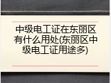 中级电工证在东丽区有什么用处(东丽区中级电工证用途多)