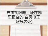 自贡初级电工证在哪里报名的(自贡电工证报名处)