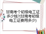 甘南考个初级电工证多少钱?(甘南考初级电工证费用多少)