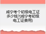 咸宁考个初级电工证多少钱?(咸宁考初级电工证费用)
