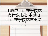 中级电工证在攀枝花有什么用处(中级电工证在攀枝花有用途。)
