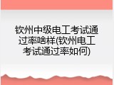 钦州中级电工考试通过率啥样(钦州电工考试通过率如何)