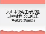 文山中级电工考试通过率啥样(文山电工考试通过率高)
