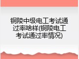铜陵中级电工考试通过率啥样(铜陵电工考试通过率情况)