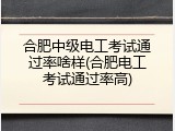 合肥中级电工考试通过率啥样(合肥电工考试通过率高)