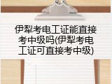 伊犁考电工证能直接考中级吗(伊犁考电工证可直接考中级)