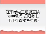 辽阳考电工证能直接考中级吗(辽阳考电工证可直接考中级)