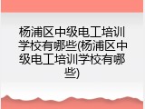 杨浦区中级电工培训学校有哪些(杨浦区中级电工培训学校有哪些)