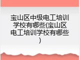 宝山区中级电工培训学校有哪些(宝山区电工培训学校有哪些)