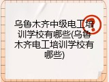 乌鲁木齐中级电工培训学校有哪些(乌鲁木齐电工培训学校有哪些)