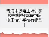 青海中级电工培训学校有哪些(青海中级电工培训学校有哪些)