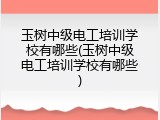 玉树中级电工培训学校有哪些(玉树中级电工培训学校有哪些)