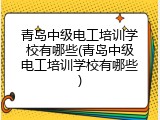 青岛中级电工培训学校有哪些(青岛中级电工培训学校有哪些)