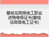 攀枝花高级电工职业资格等级证书(攀枝花高级电工证书)