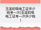 玉溪初级电工证多少钱考一次(玉溪初级电工证考一次多少钱)