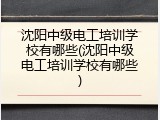 沈阳中级电工培训学校有哪些(沈阳中级电工培训学校有哪些)