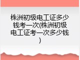 株洲初级电工证多少钱考一次(株洲初级电工证考一次多少钱)