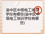 渝中区中级电工培训学校有哪些(渝中区中级电工培训学校有哪些)