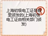 上海初级电工证是哪里颁发的(上海初级电工证由相关部门颁发)