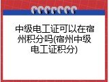 中级电工证可以在宿州积分吗(宿州中级电工证积分)