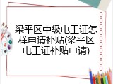 梁平区中级电工证怎样申请补贴(梁平区电工证补贴申请)