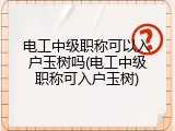电工中级职称可以入户玉树吗(电工中级职称可入户玉树)