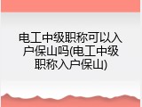 电工中级职称可以入户保山吗(电工中级职称入户保山)