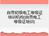 自贡初级电工等级证培训机构(自贡电工等级证培训)