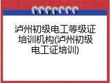 泸州初级电工等级证培训机构(泸州初级电工证培训)