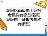 朝阳区高级电工证报考机构有哪些(朝阳高级电工证报考机构有哪些)